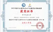 2025-第十四届MathorCup数学应用挑战赛-国赛三等奖-李亚芳-薛泽-张天卫