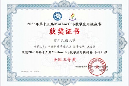 2025-第十四届MathorCup数学应用挑战赛-国赛三等奖-李亚芳-薛泽-张天卫