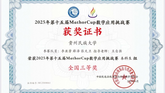 2025-第十四届MathorCup数学应用挑战赛-国赛三等奖-李亚芳-薛泽-张天卫