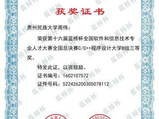 2025-第15届蓝桥杯全国软件和信息技术专业人才大赛-国赛三等奖-周伟