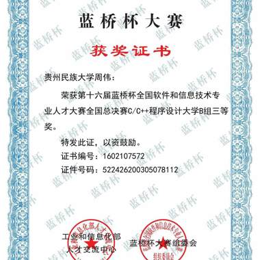 2025-第15届蓝桥杯全国软件和信息技术专业人才大赛-国赛三等奖-周伟