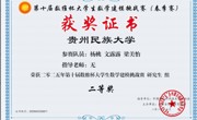 2025-数维杯大学生数学建模挑战赛-国赛二等奖-杨桃-文露露-梁美怡