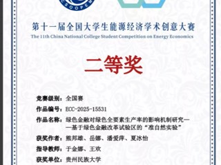 2025-全国大学生能源经济学术创意大赛-国赛二等奖-潘爱萍